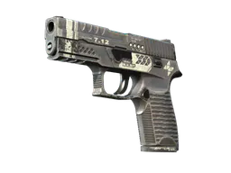 P250 | Re.built (Well-Worn) — skin CS2