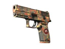 P250 | Red Rock (Well-Worn) — skin CS2