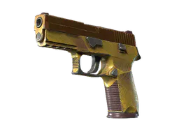 P250 | Sedimentary (Field-Tested) — skin CS2