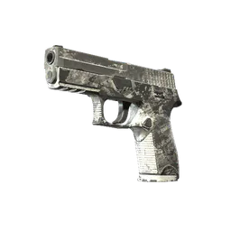 P250 | Sleet (Battle-Scarred) — skin CS2