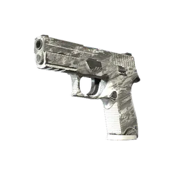 P250 | Sleet (Well-Worn) — skin CS2