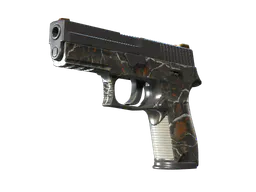 P250 | Small Game (Well-Worn) — skin CS2
