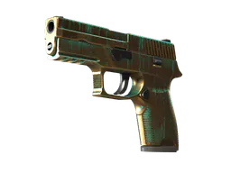 P250 | Verdigris (Well-Worn) — skin CS2