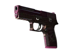 P250 | Vino Primo (Field-Tested) — skin CS2