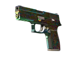 P250 | Visions (Well-Worn) — skin CS2