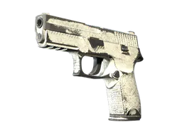 P250 | Whiteout (Battle-Scarred) — skin CS2
