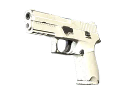 P250 | Whiteout (Field-Tested) — skin CS2