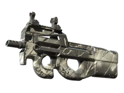 P90 | Ash Wood (Well-Worn) — skin CS2