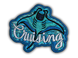 Patch Cruising Ray - Preço e onde comprar no CS2