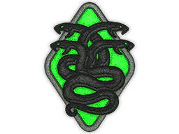 Patch Hydra - Preço e onde comprar no CS2