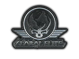 Patch Metal The Global Elite - Preço e onde comprar no CS2
