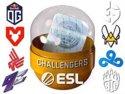 Rio 2022 Challengers Sticker Capsule - Preço e onde comprar no CS2