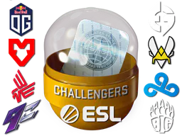 Rio 2022 Challengers Sticker Capsule - Preço e onde comprar no CS2