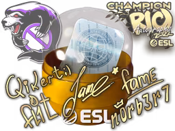 Rio 2022 Champions Autograph Capsule - Preço e onde comprar no CS2