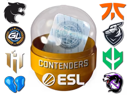 Rio 2022 Contenders Sticker Capsule - Preço e onde comprar no CS2