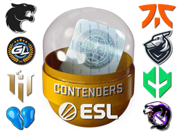 Rio 2022 Contenders Sticker Capsule - Preço e onde comprar no CS2