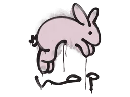 Graffiti Hop (War Pig Pink) - Preço e onde comprar no CS2