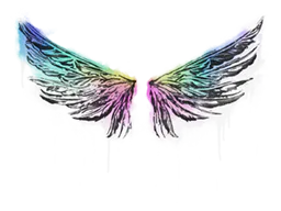 Graffiti Wings - Preço e onde comprar no CS2