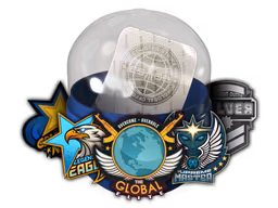 Skill Groups Capsule - Preço e onde comprar no CS2