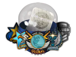 Skill Groups Capsule - Preço e onde comprar no CS2