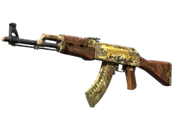 AK-47 | Panthera onca (Well-Worn) — skin CS2