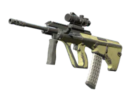 AUG | Colony (Battle-Scarred) — skin CS2