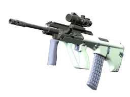 AUG | Storm (Factory New) — skin CS2