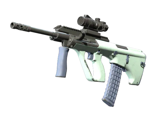 Souvenir AUG Storm Field-Tested - Preço e onde comprar no CS2