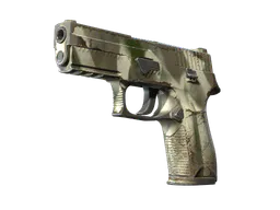 P250 | Bone Mask (Field-Tested) — skin CS2