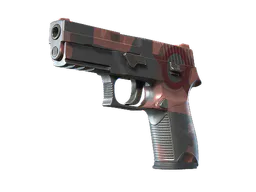 P250 | Constructivist (Factory New) — skin CS2