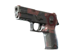 P250 | Constructivist (Field-Tested) — skin CS2