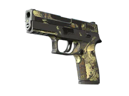 P250 | Contamination (Battle-Scarred) — skin CS2