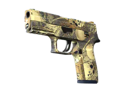 P250 | Contamination (Minimal Wear) — skin CS2
