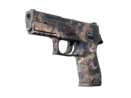 P250 | Drought (Field-Tested) — skin CS2