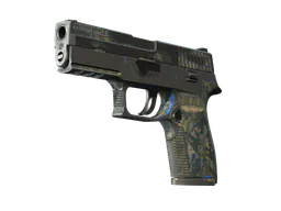 P250 | Exchanger (Battle-Scarred) — skin CS2
