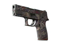 P250 | Facility Draft (Field-Tested) — skin CS2