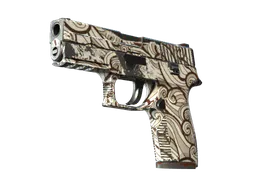 P250 | Gunsmoke (Field-Tested) — skin CS2