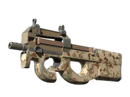 P90 | Desert DDPAT (Well-Worn) — skin CS2