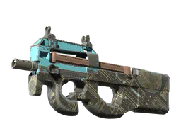 P90 | Facility Negative (Field-Tested) — skin CS2