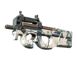 P90 | Schematic (Factory New) — skin CS2