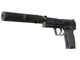 USP-S | Royal Blue (Battle-Scarred) — skin CS2