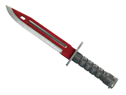 Bayonet | Autotronic (Well-Worn) — skin CS2