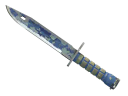 Bayonet | Bright Water (Battle-Scarred) — skin CS2
