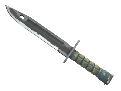 Bayonet Night Battle-Scarred - Preço e onde comprar no CS2