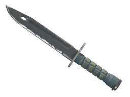 Bayonet | Night (Field-Tested) — skin CS2