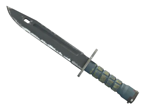 Bayonet Night Well-Worn - Preço e onde comprar no CS2