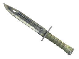 Bayonet | Stained (Battle-Scarred) — skin CS2