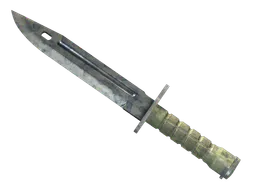 Bayonet | Stained (Well-Worn) — skin CS2