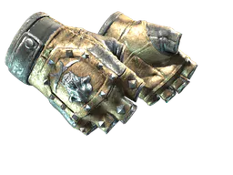 Bloodhound Gloves | Bronzed (Field-Tested) — skin CS2