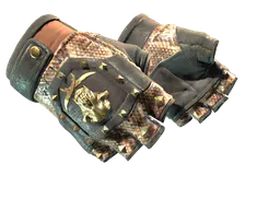Bloodhound Gloves | Snakebite (Field-Tested) — skin CS2